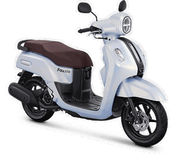 Scooter Rental