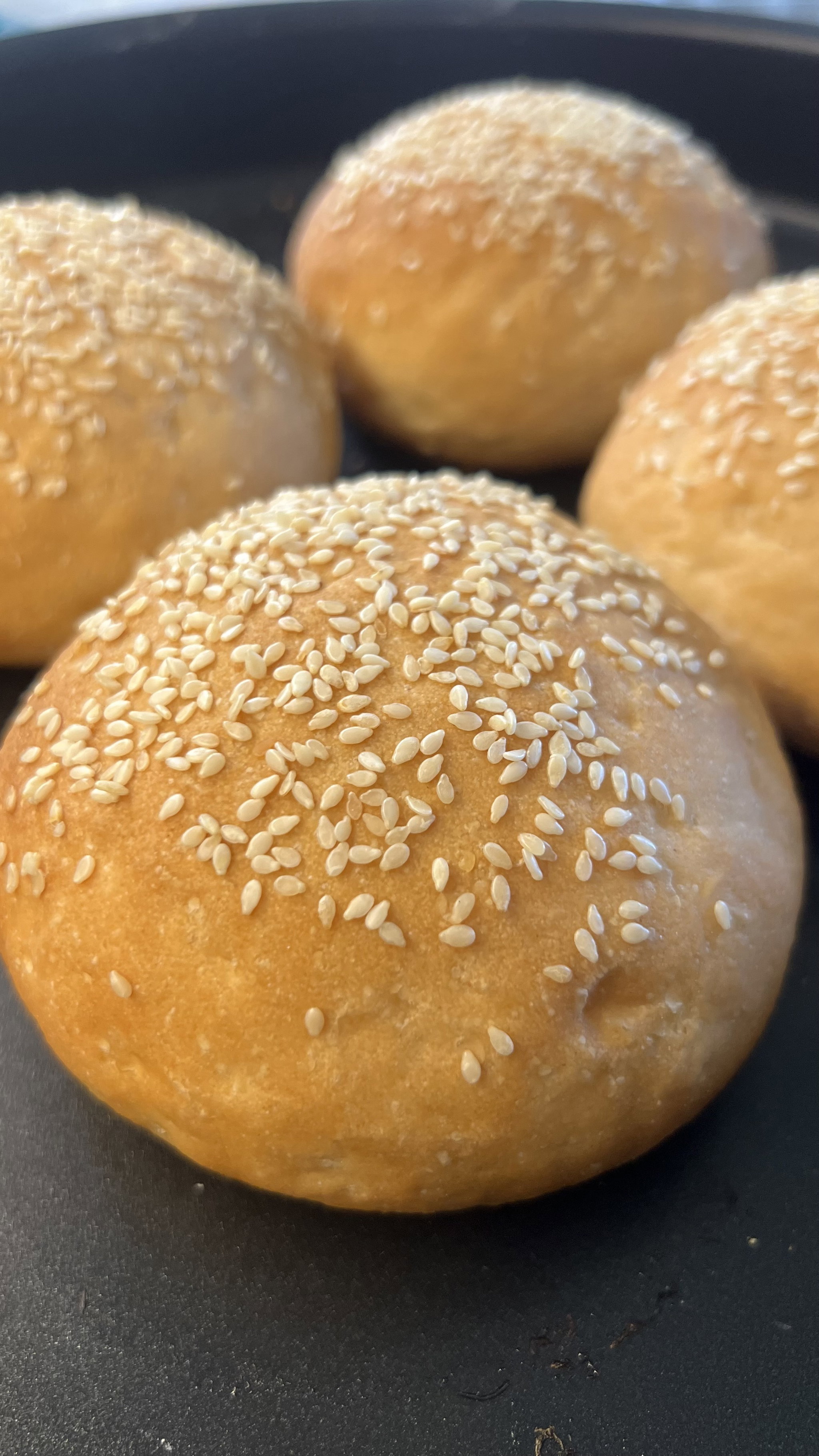 Burger Bun_1