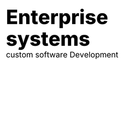 Custom Software Solutions