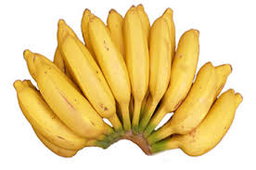 Fruits