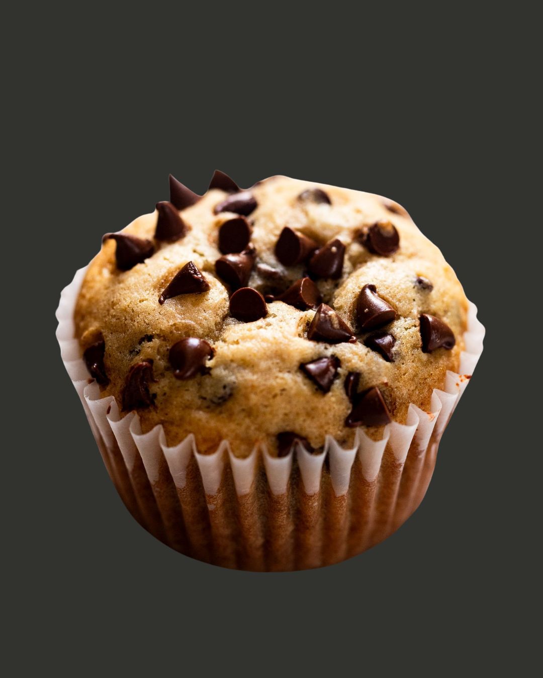 Chocolate Chip Muffin_0