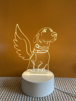 Customized LED Memento Lamp