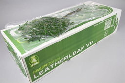 Leaf leather Felce (arach)