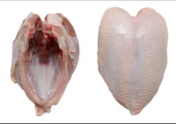 Halal Taiwan broiler chicken 「Breast with bone -CUT」 清真台灣肉雞-帶骨雞胸（剁塊）