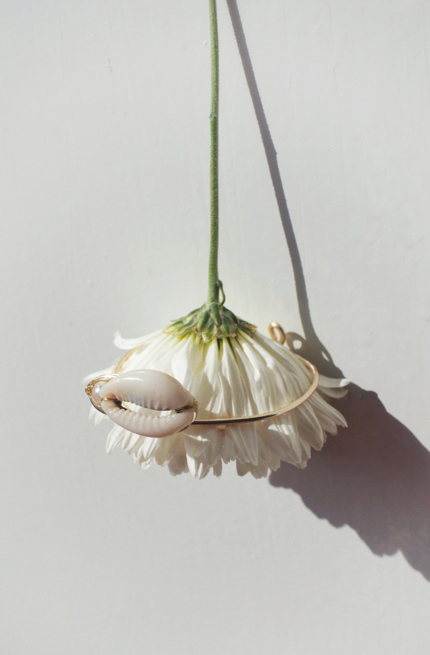 Cowrie Bracelets_1
