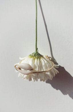 Cowrie Bracelets