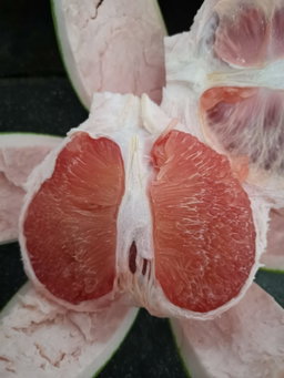Siam Red Ruby pomelo
