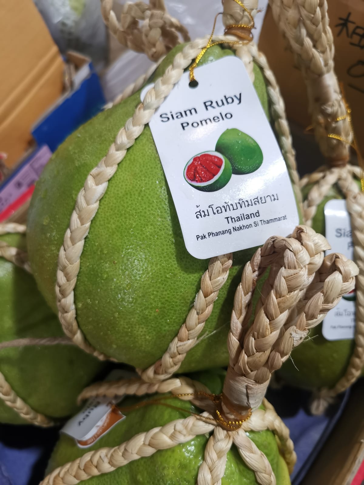 Siam Red Ruby pomelo_1