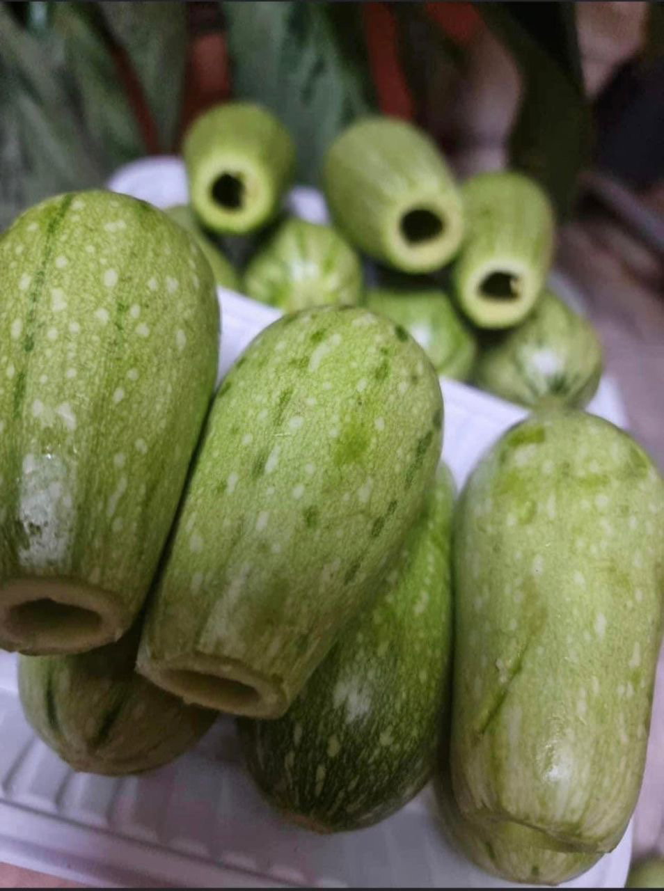 MPS36- Courgette creusée كوسى منقور