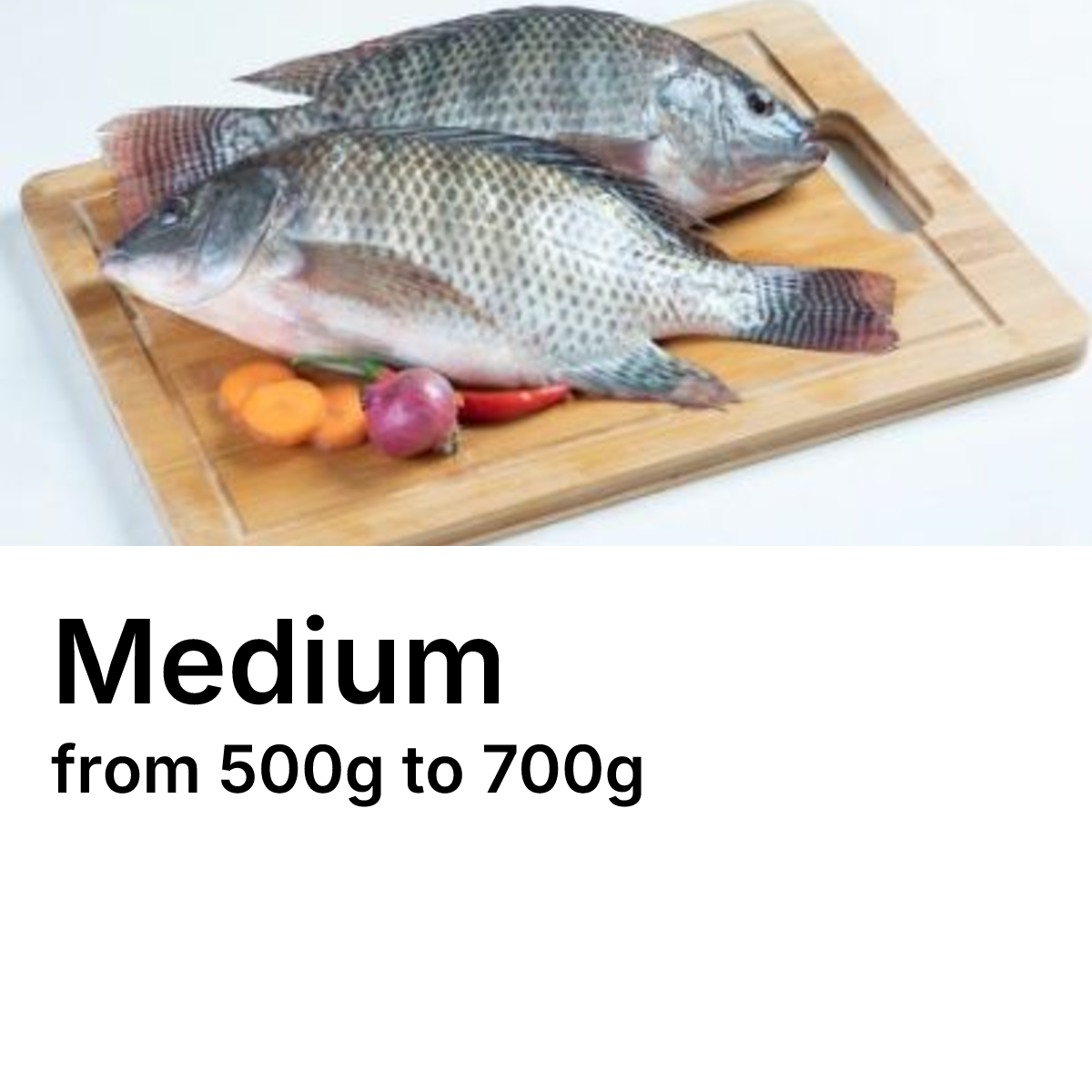 Medium Sato (Tilapia) _0