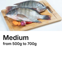 Medium Sato (Tilapia) 