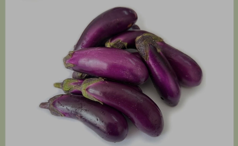 Brinjal _1
