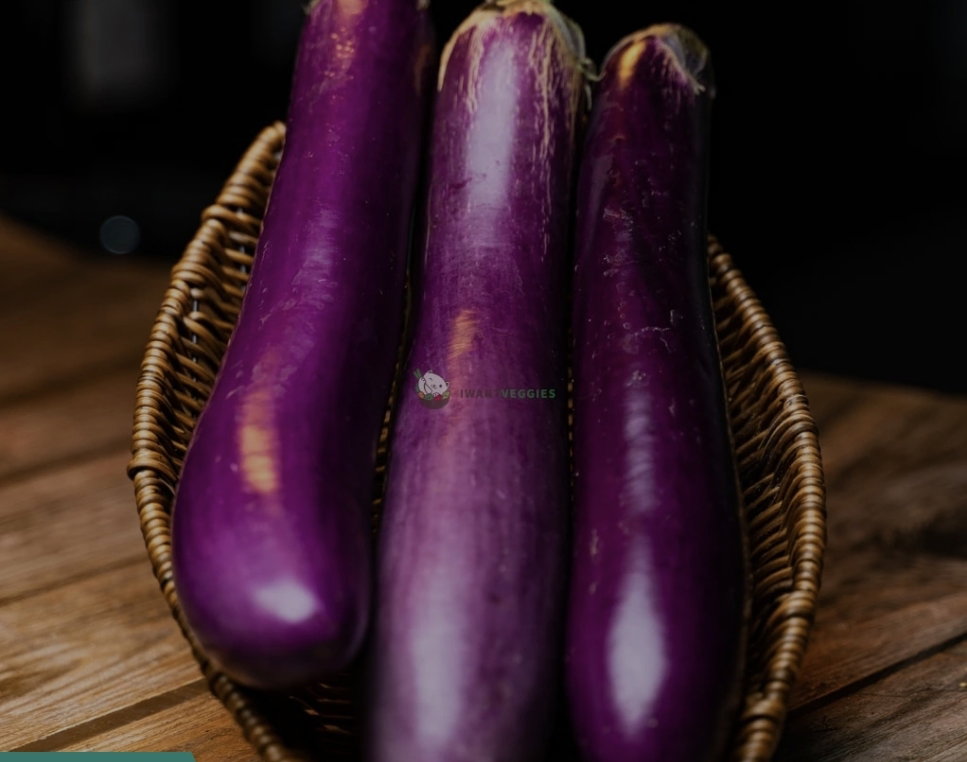 Brinjal _2