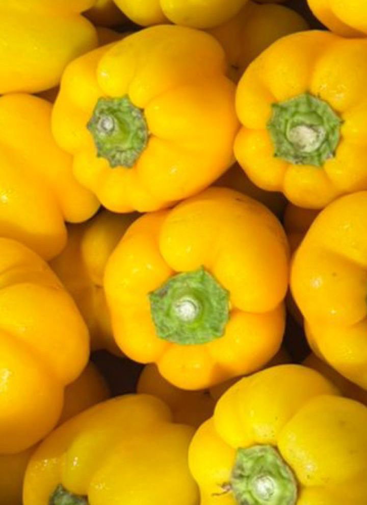 MPS40- poivrons jaune 1kg فليفلة صفراء _0