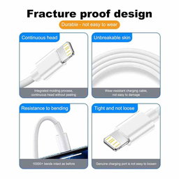 iPhone Lightning USB 3ft Cable