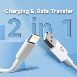 iPhone Lightning USB 3ft Cable