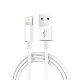 iPhone Lightning USB 3ft Cable