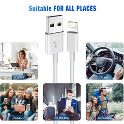 iPhone Lightning USB 3ft Cable