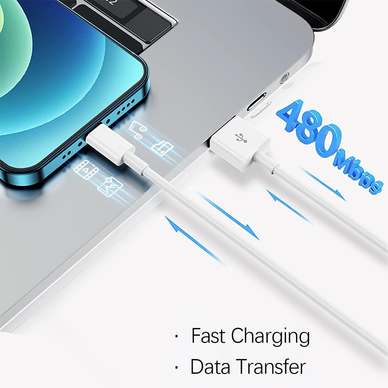 Samsung Micro 3Feet Cable_5