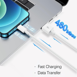 Samsung Micro 3Feet Cable