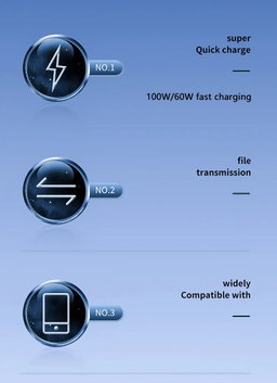 Type-C to Type-C 3ft Cable