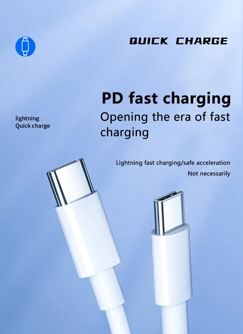 Type-C to Type-C 3ft Cable_1