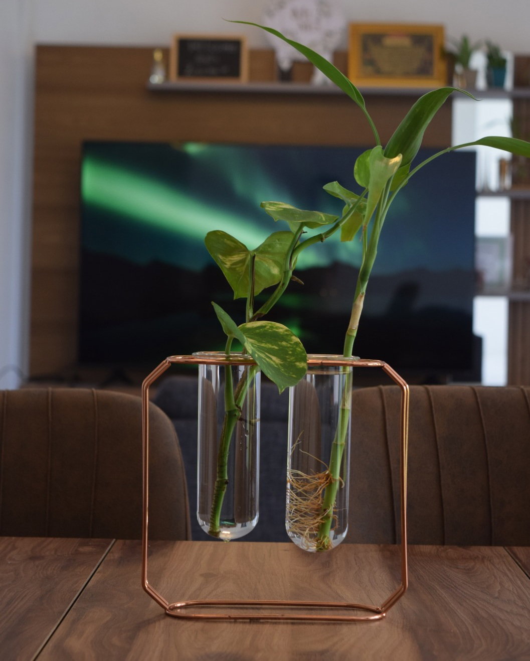 Rose Gold Hydroponic Plant Holder (Customise The Plants You Desire 🪴🌵)