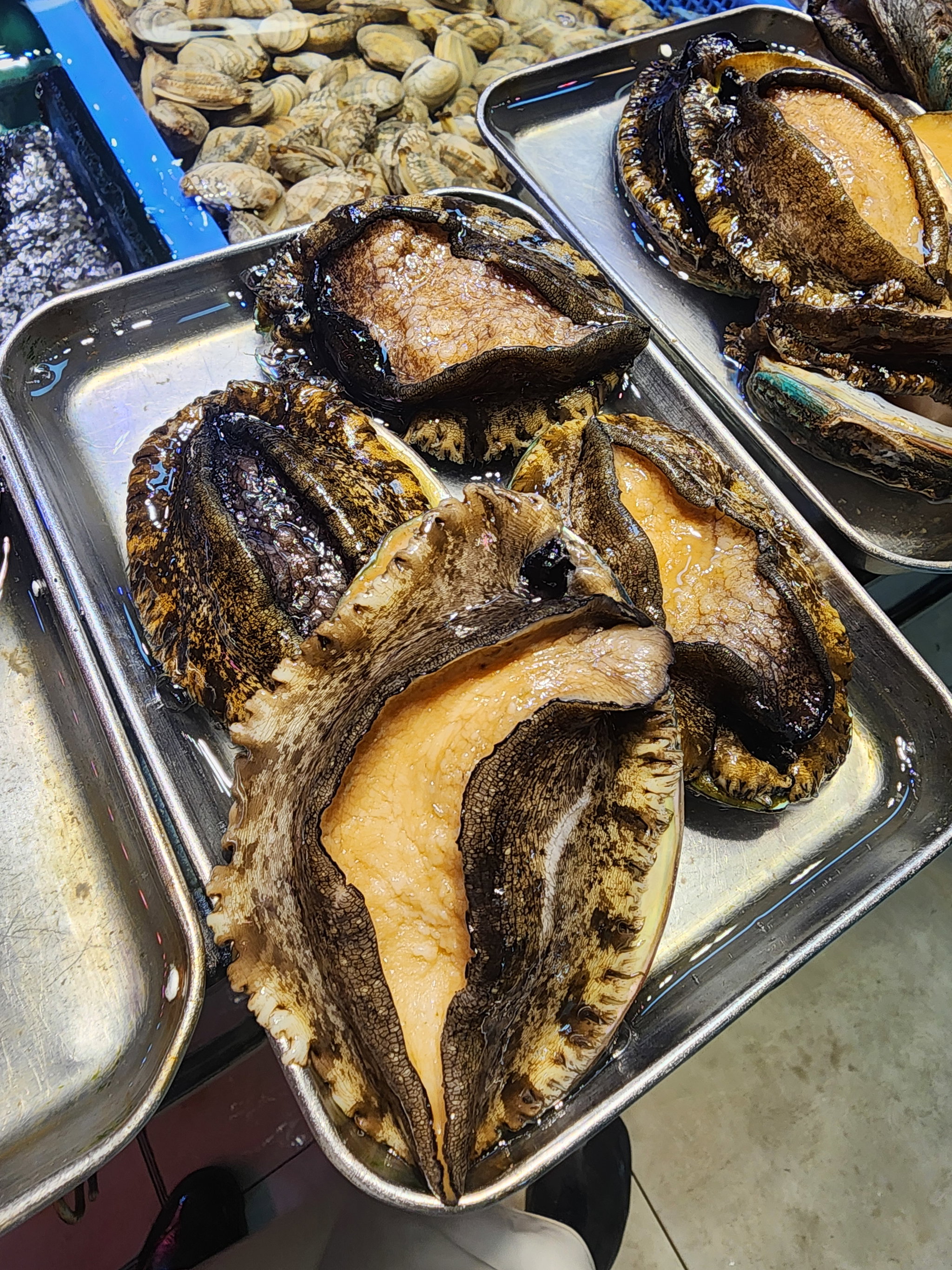 大連鮑魚🐚（4隻）（8頭）_0