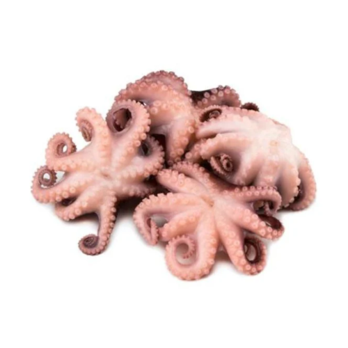 Pulpo Baby_0