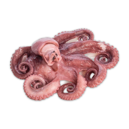Pulpo Precocido
