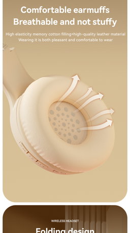 Hybrid Noise Reduction Headset