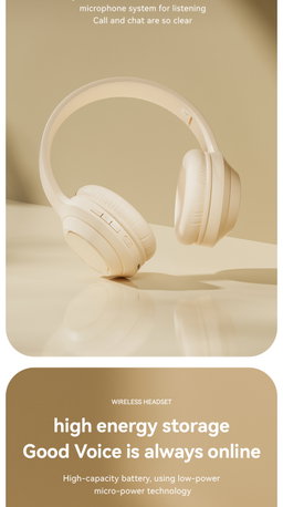 Hybrid Noise Reduction Headset