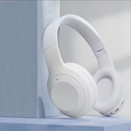 Hybrid Noise Reduction Headset