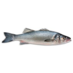 Lubina (2 a 3 Kg)