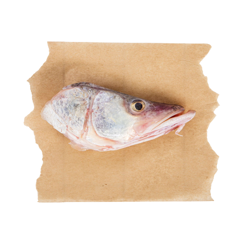 Cabeza de Pescado_0