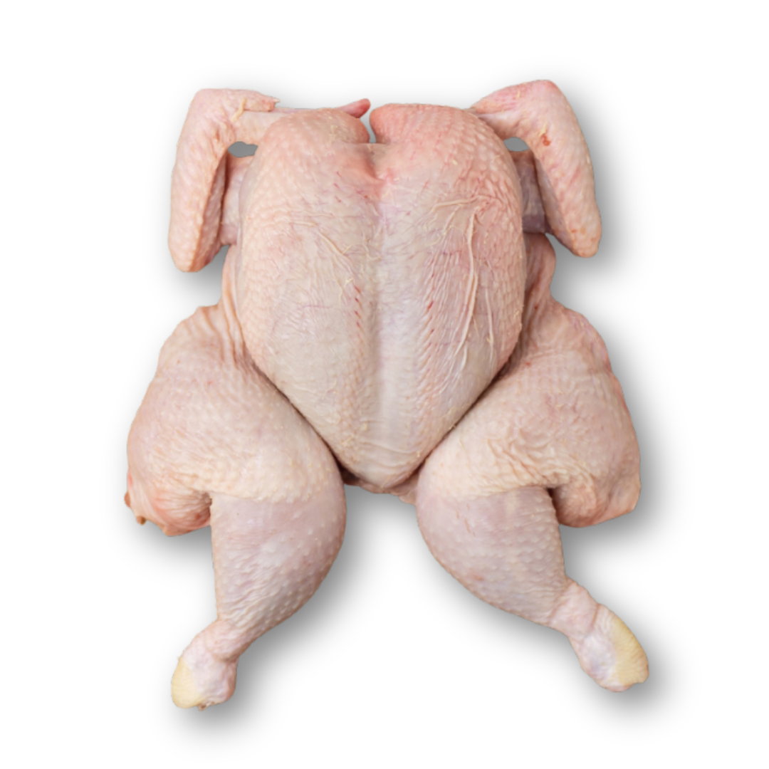 FLAT CHICKEN KING_0