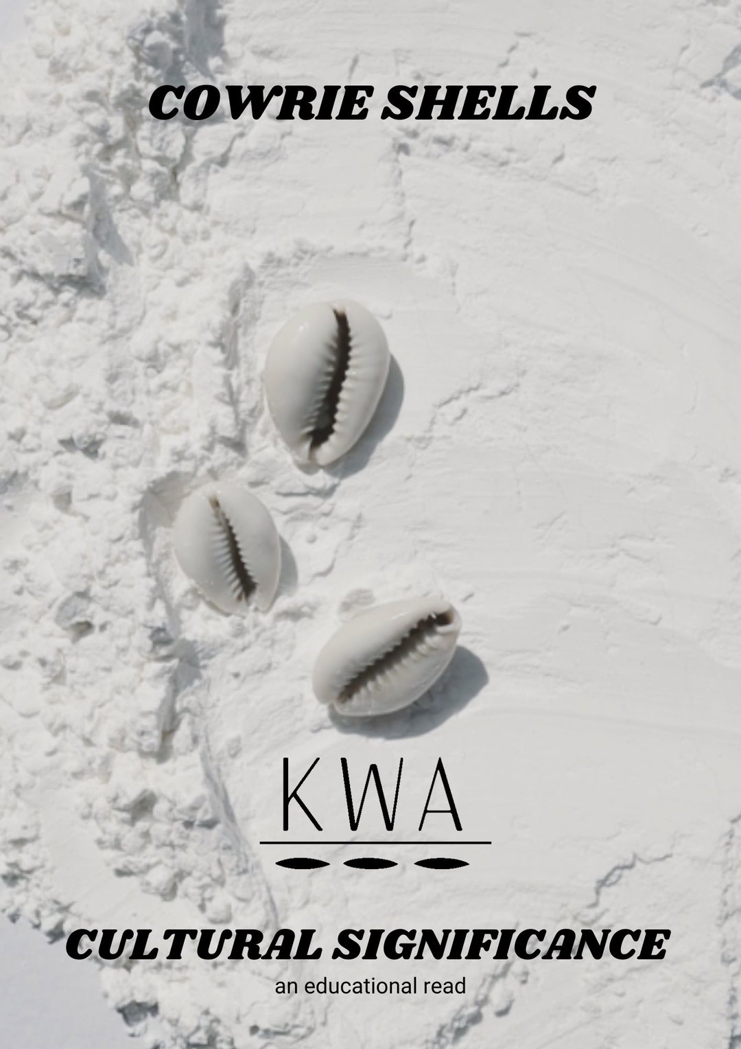 Cowrie Shells