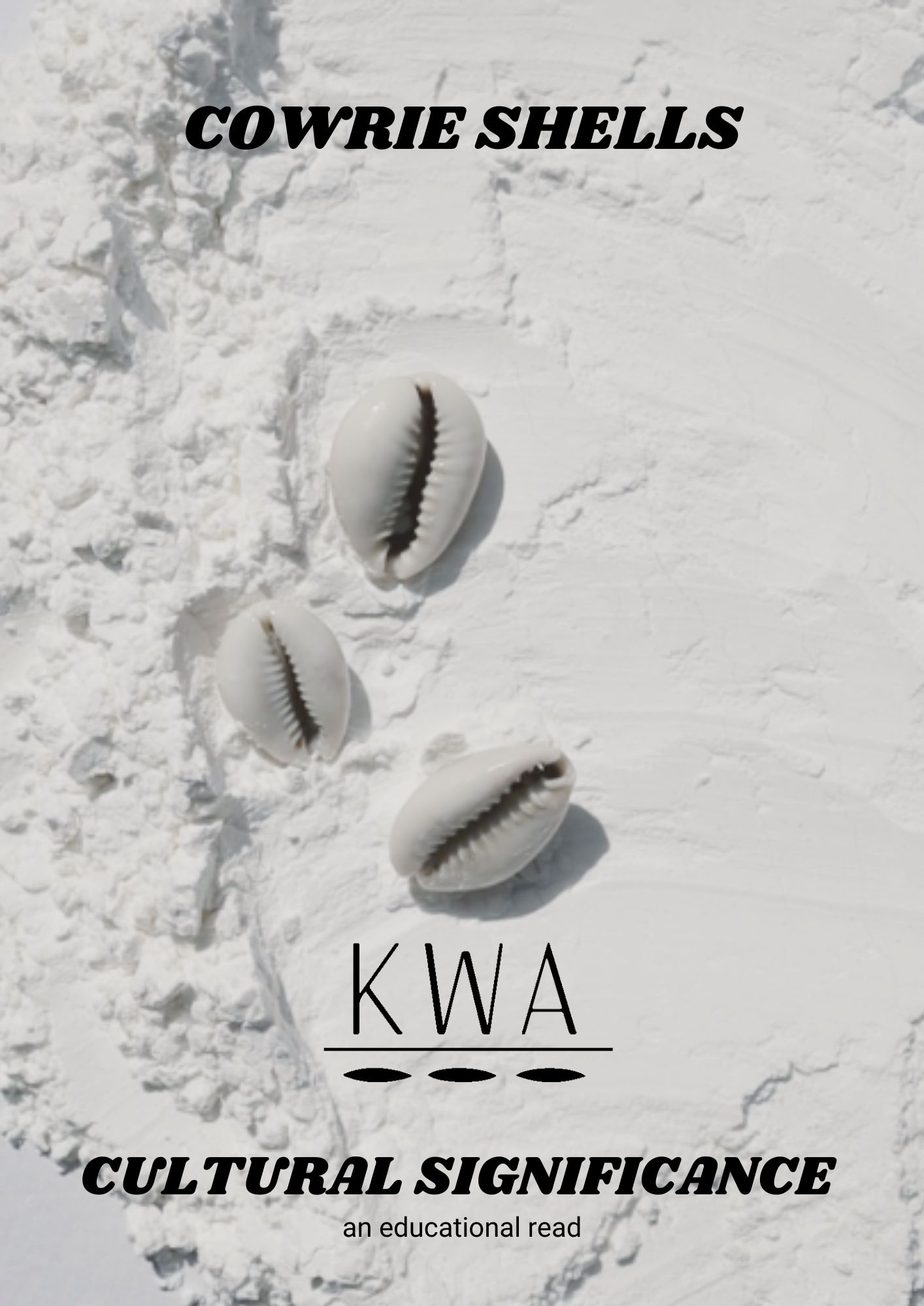Cowrie Shells_0