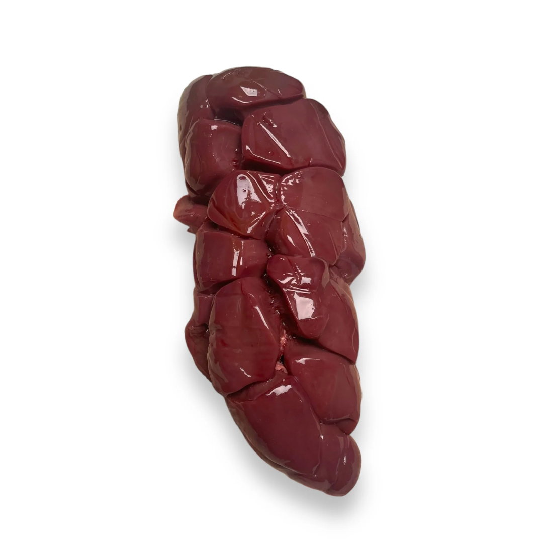 OX KIDNEY_0