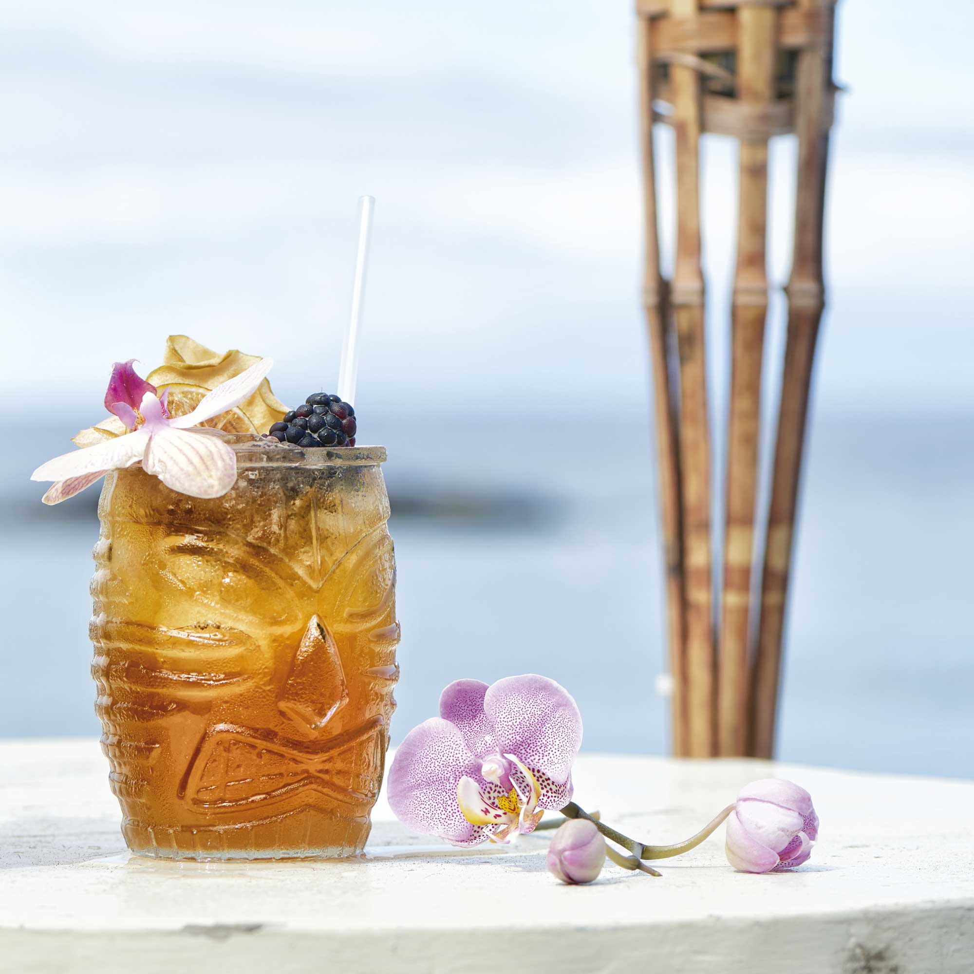 BAR WORLD TIKI OLD FASHIONED TUMBLER 500 ML_1