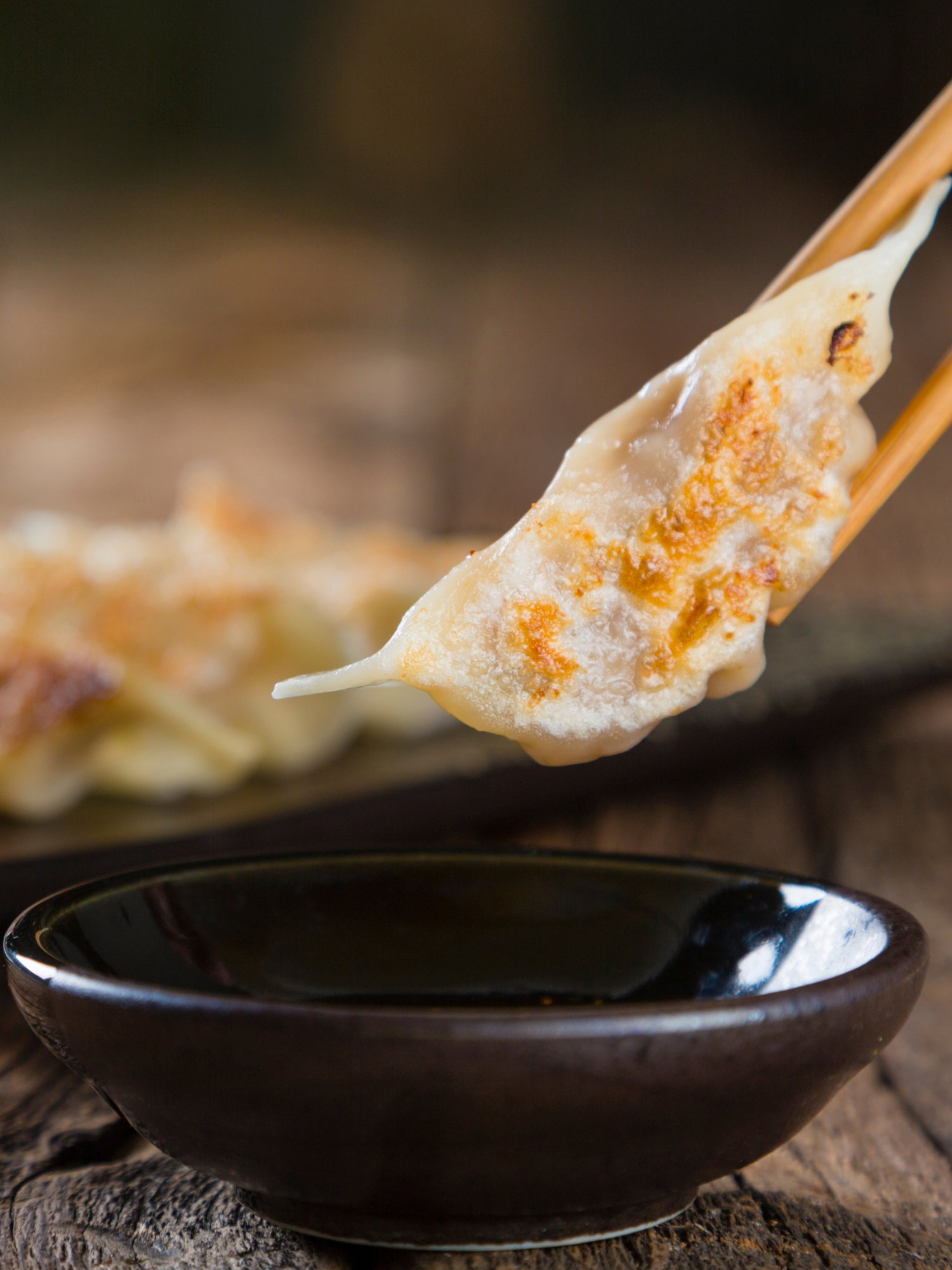 Fried Mandu 만두 _2