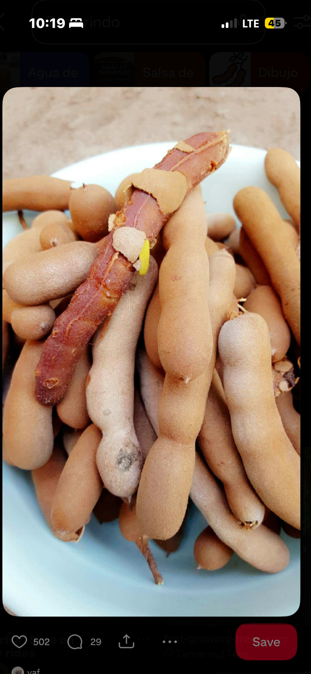 Tamarindo (pulpa)