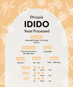speciality - ethiopia - idido (yeast processed) whole beans - 1kg
