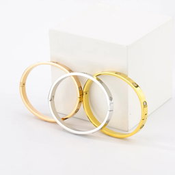  Stainless Steel 18k Hinged