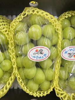 Korea Shine Muscat 