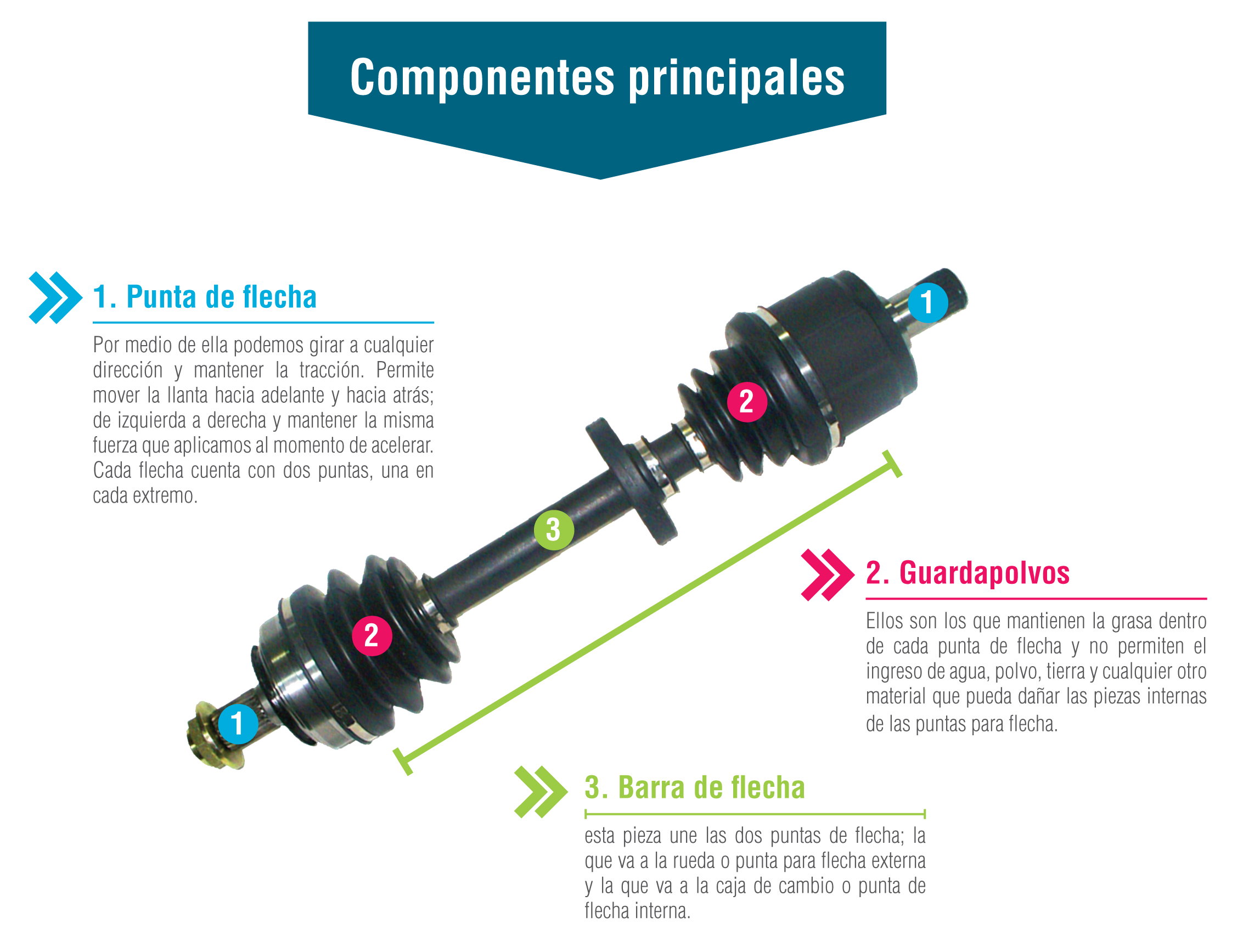 "Algunos de nuestros productos" 👆_3