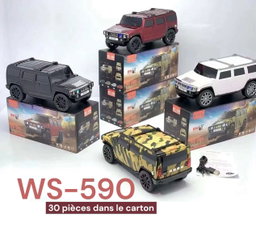 WS 590 (radio)
