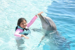 Experiencia con Delfines (nado e interaccion)