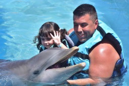 Experiencia con Delfines (nado e interaccion)