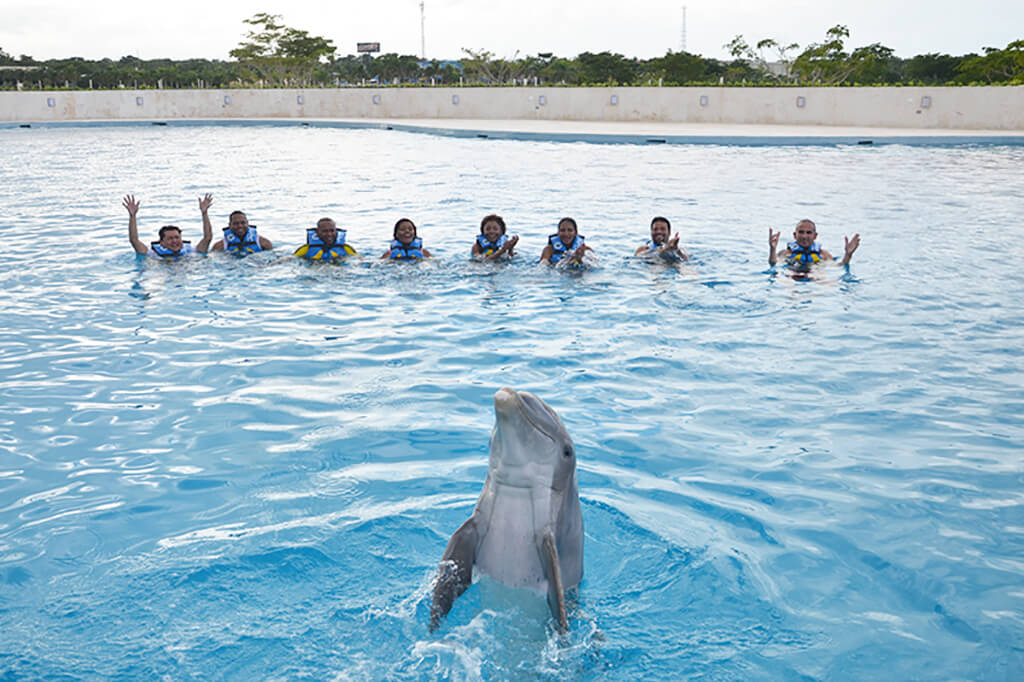 Experiencia con Delfines (nado e interaccion)_5